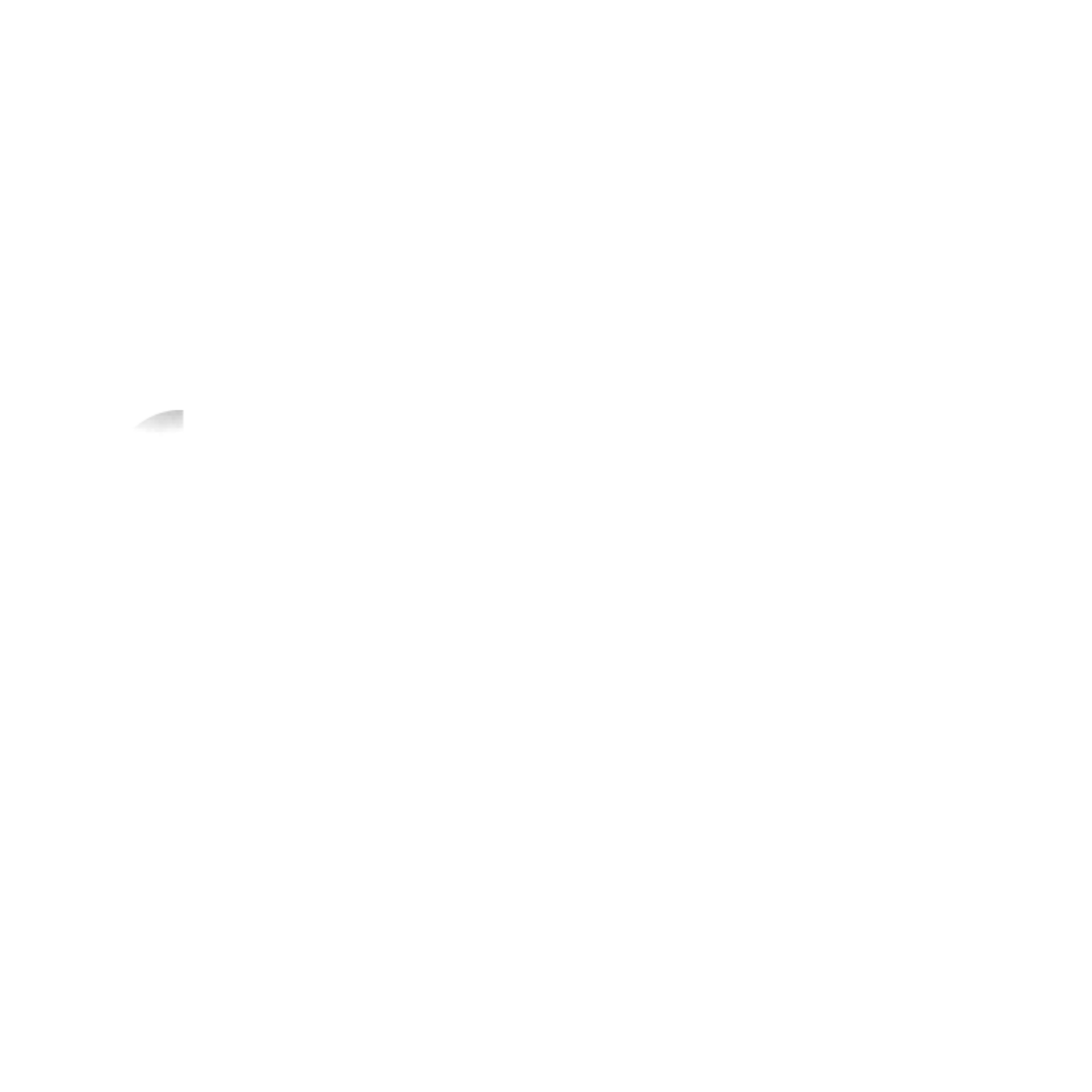 OPEN Foundation